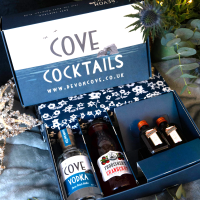 Cosmopolitan Cocktail Kit Devon Cove Damson Liqueur